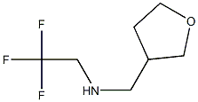  N-(tetrahydrofuran-3-ylmethyl)-N-(2,2,2-trifluoroethyl)amine