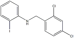 N-[(2,4-dichlorophenyl)methyl]-2-iodoaniline