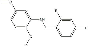 N-[(2,4-difluorophenyl)methyl]-2,5-dimethoxyaniline Struktur