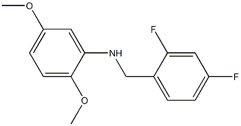 N-[(2,4-difluorophenyl)methyl]-2,5-dimethoxyaniline 化学構造式