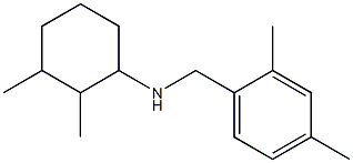 N-[(2,4-dimethylphenyl)methyl]-2,3-dimethylcyclohexan-1-amine Struktur
