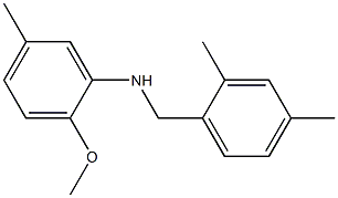 N-[(2,4-dimethylphenyl)methyl]-2-methoxy-5-methylaniline,,结构式