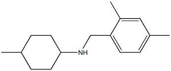 N-[(2,4-dimethylphenyl)methyl]-4-methylcyclohexan-1-amine,,结构式