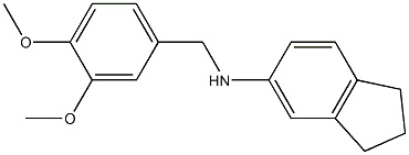 N-[(3,4-dimethoxyphenyl)methyl]-2,3-dihydro-1H-inden-5-amine,,结构式