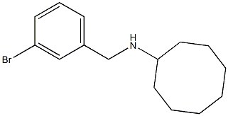 N-[(3-bromophenyl)methyl]cyclooctanamine Structure