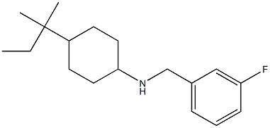 N-[(3-fluorophenyl)methyl]-4-(2-methylbutan-2-yl)cyclohexan-1-amine Structure