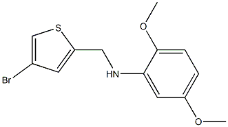 N-[(4-bromothiophen-2-yl)methyl]-2,5-dimethoxyaniline Structure