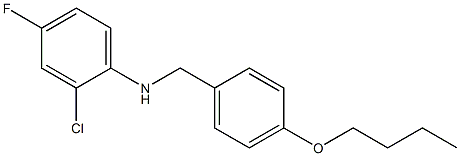 N-[(4-butoxyphenyl)methyl]-2-chloro-4-fluoroaniline,,结构式