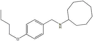 N-[(4-butoxyphenyl)methyl]cyclooctanamine,,结构式