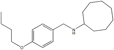  N-[(4-butoxyphenyl)methyl]cyclooctanamine