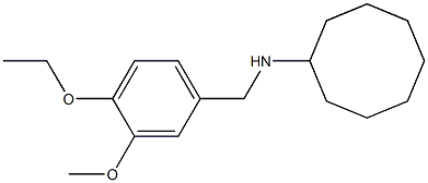 N-[(4-ethoxy-3-methoxyphenyl)methyl]cyclooctanamine,,结构式