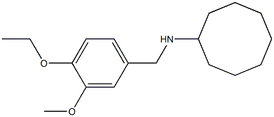 N-[(4-ethoxy-3-methoxyphenyl)methyl]cyclooctanamine