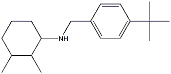 N-[(4-tert-butylphenyl)methyl]-2,3-dimethylcyclohexan-1-amine Struktur