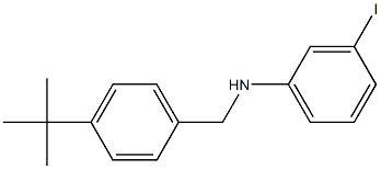 N-[(4-tert-butylphenyl)methyl]-3-iodoaniline Struktur