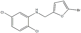 N-[(5-bromofuran-2-yl)methyl]-2,5-dichloroaniline Structure