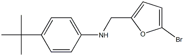 N-[(5-bromofuran-2-yl)methyl]-4-tert-butylaniline