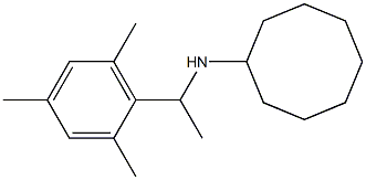 N-[1-(2,4,6-trimethylphenyl)ethyl]cyclooctanamine 化学構造式