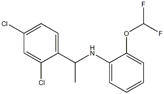 N-[1-(2,4-dichlorophenyl)ethyl]-2-(difluoromethoxy)aniline Structure