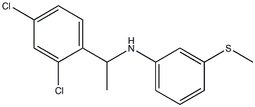 N-[1-(2,4-dichlorophenyl)ethyl]-3-(methylsulfanyl)aniline Struktur