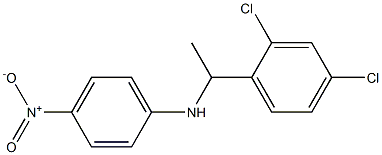 N-[1-(2,4-dichlorophenyl)ethyl]-4-nitroaniline 结构式