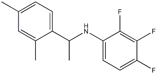 N-[1-(2,4-dimethylphenyl)ethyl]-2,3,4-trifluoroaniline