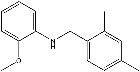 N-[1-(2,4-dimethylphenyl)ethyl]-2-methoxyaniline,,结构式