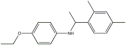 N-[1-(2,4-dimethylphenyl)ethyl]-4-ethoxyaniline Structure