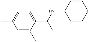 N-[1-(2,4-dimethylphenyl)ethyl]cyclohexanamine