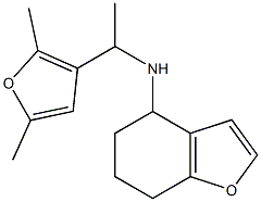 N-[1-(2,5-dimethylfuran-3-yl)ethyl]-4,5,6,7-tetrahydro-1-benzofuran-4-amine