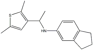  N-[1-(2,5-dimethylthiophen-3-yl)ethyl]-2,3-dihydro-1H-inden-5-amine