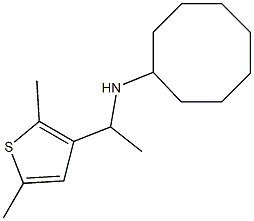 N-[1-(2,5-dimethylthiophen-3-yl)ethyl]cyclooctanamine