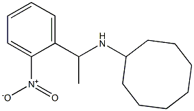  N-[1-(2-nitrophenyl)ethyl]cyclooctanamine