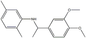 N-[1-(3,4-dimethoxyphenyl)ethyl]-2,5-dimethylaniline 化学構造式