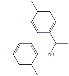 N-[1-(3,4-dimethylphenyl)ethyl]-2,4-dimethylaniline Struktur