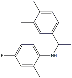 N-[1-(3,4-dimethylphenyl)ethyl]-4-fluoro-2-methylaniline,,结构式