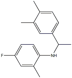 N-[1-(3,4-dimethylphenyl)ethyl]-4-fluoro-2-methylaniline 化学構造式