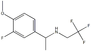 N-[1-(3-fluoro-4-methoxyphenyl)ethyl]-N-(2,2,2-trifluoroethyl)amine 结构式