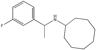 N-[1-(3-fluorophenyl)ethyl]cyclooctanamine Struktur