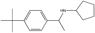 N-[1-(4-tert-butylphenyl)ethyl]cyclopentanamine|