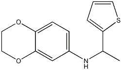 N-[1-(thiophen-2-yl)ethyl]-2,3-dihydro-1,4-benzodioxin-6-amine|