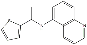 N-[1-(thiophen-2-yl)ethyl]quinolin-5-amine,,结构式