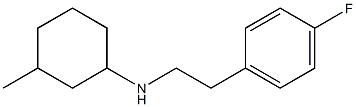 N-[2-(4-fluorophenyl)ethyl]-3-methylcyclohexan-1-amine Struktur