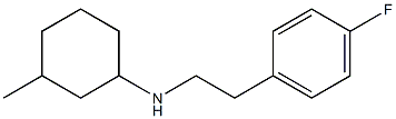 N-[2-(4-fluorophenyl)ethyl]-3-methylcyclohexan-1-amine 结构式