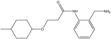 N-[2-(aminomethyl)phenyl]-3-[(4-methylcyclohexyl)oxy]propanamide Structure