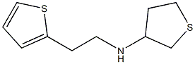 N-[2-(thiophen-2-yl)ethyl]thiolan-3-amine Structure