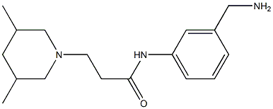 N-[3-(aminomethyl)phenyl]-3-(3,5-dimethylpiperidin-1-yl)propanamide Struktur