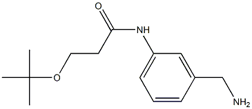 N-[3-(aminomethyl)phenyl]-3-(tert-butoxy)propanamide 化学構造式