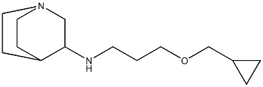  N-[3-(cyclopropylmethoxy)propyl]-1-azabicyclo[2.2.2]octan-3-amine