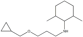 N-[3-(cyclopropylmethoxy)propyl]-2,6-dimethylcyclohexan-1-amine,,结构式