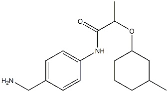 N-[4-(aminomethyl)phenyl]-2-[(3-methylcyclohexyl)oxy]propanamide Structure